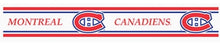Charger l'image dans la galerie, Canadiens de Montréal — Présentoir de plancher préchargé (48 unités, licence officielle NHL / Trademarkx)